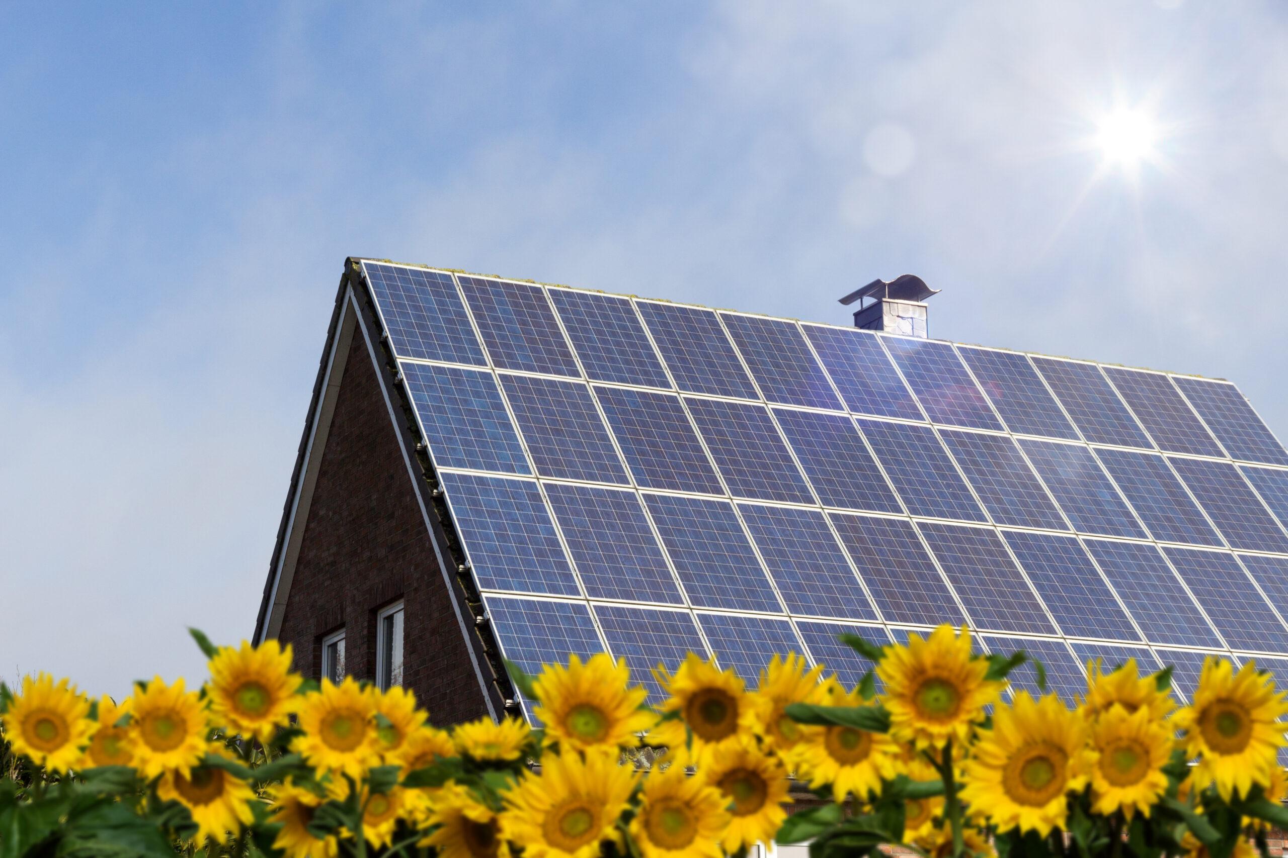 house with solar panels on the roof and sunflowers in the garden